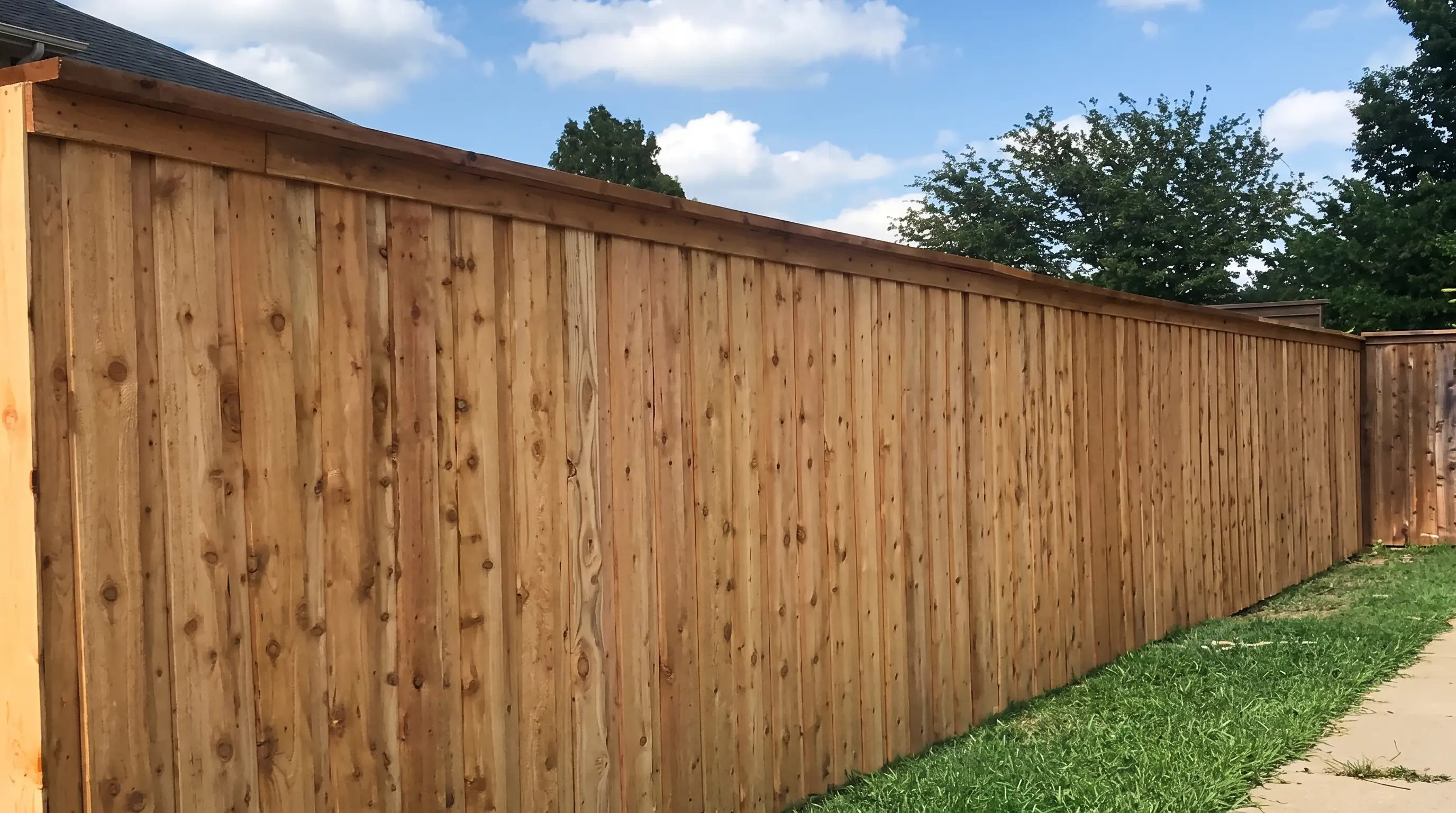 Cedar privacy fence, freshly installed